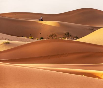 銀川+中衛6日5晚私家團